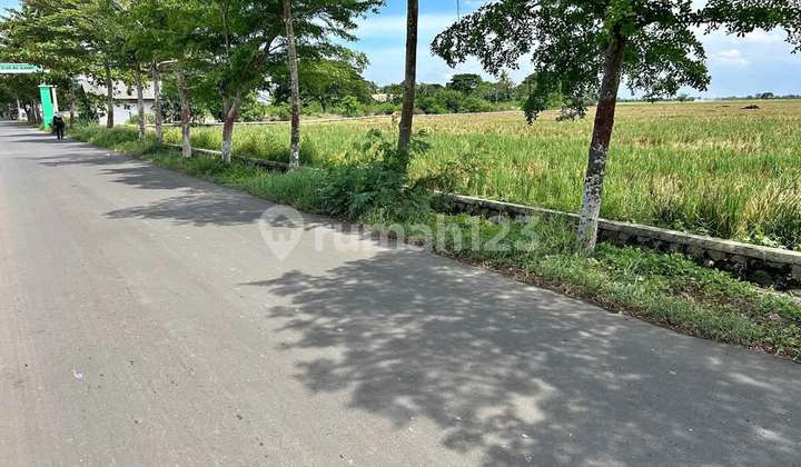 Tanah Strategis Pinggir Jalan Cocok Untuk Perumahan Atau Ladang Produktif Di Sukakarya Kabupaten Bekasi Jawa Barat