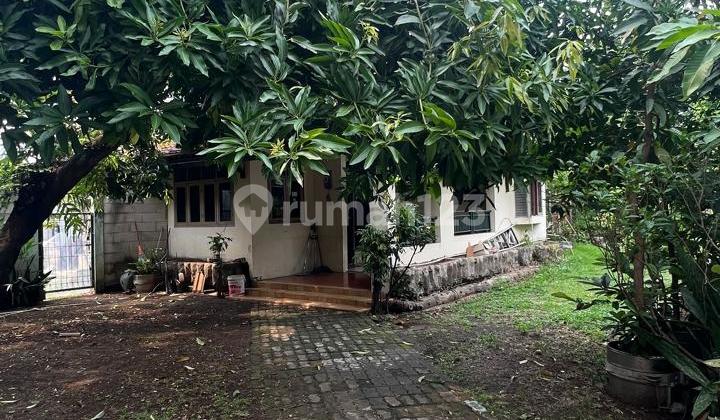 Tanah Strategis Bebas Banjir Bonus Rumah Tua dan Ex Kosan di Meruya Utara Kembangan Jakarta Barat Tanah Strategis Bebas Banjir Bonus Rumah Tua dan Ex Kosan di Meruya Utara Kembangan Jakarta Barat