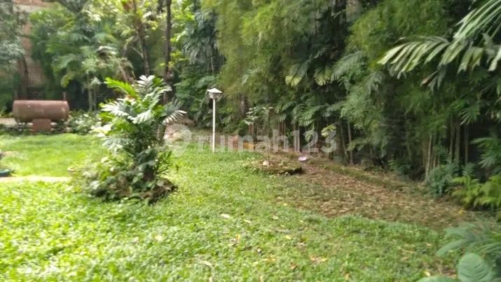 Tanah Bonus Rumah Tempat Strategis Bebas Banjir di Kemang Mampang Jakarta Selatan Tanah Bonus Rumah Tempat Strategis Bebas Banjir di Kemang Mampang Jakarta Selatan