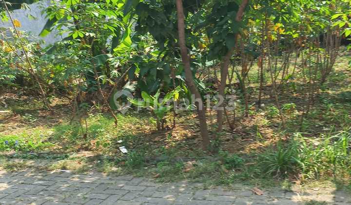 Tanah Strategis Dekat Kampus UI Berada di Lingkungan Perumahan Kukusan Beji Depok Jawa Barat 2