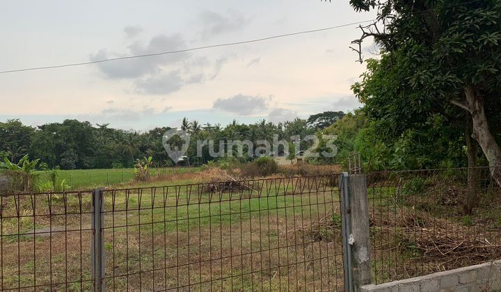 Tanah Pekarangan Pinggir Jalan Raya Wates Purworejo Dekat Bandara YIA di Kulon Progo Yogyakarta