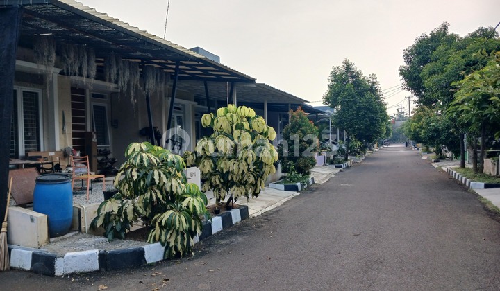 Strategic House Near Station, Hook Position, Flood-Free in Cilebut, Bogor, West Java. Strategic House Near Station, Hook Position, Flood-Free in Cilebut, Bogor, West Java.