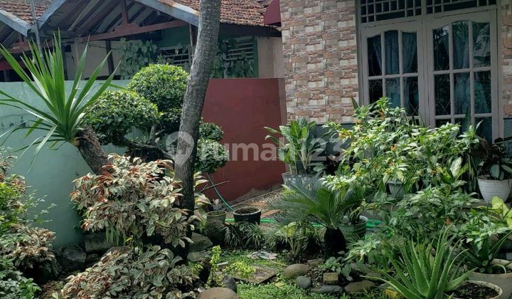 Affordable Newly Built House Near IPB Campus in Cibanteng Ciampea Bogor West Java 2