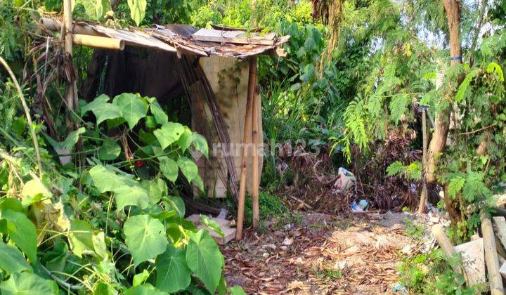 Disewakan Tanah Premium Di Semat Brawe Canggu Dkt Batu Belig Kuta 2