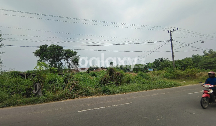 Murah Tanah Dekat Tol Cerme Gresik 2