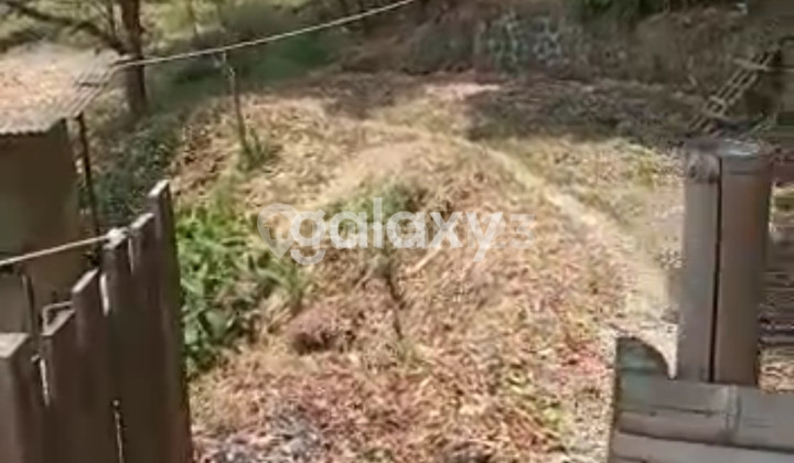 Tanah Trawas Lahan Sumber Air Debit Tinggi Tanah Trawas Lahan Sumber Air Debit Tinggi