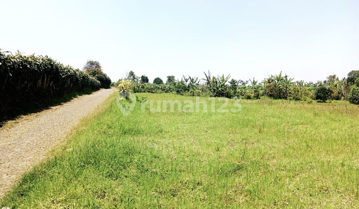 Tanah Luas View Gunung Cocok untuk Villa di Bumiaji Batu Malang