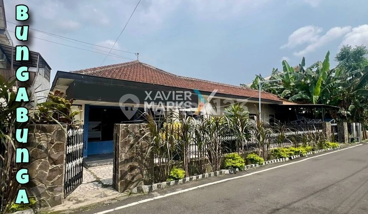 Rumah Klasik Di Bunga Bunga Lowokwaru Harga Murah Rumah Klasik Di Bunga Bunga Lowokwaru Harga Murah