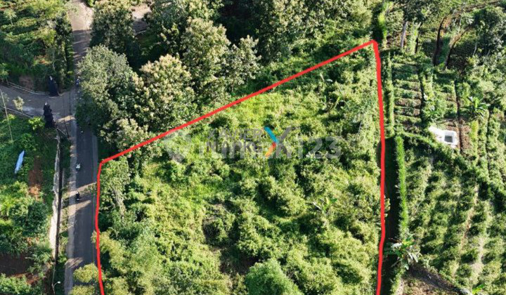 Tanah Murah Siap Bangun Dekat Unitri di Jedong Wagir Malang