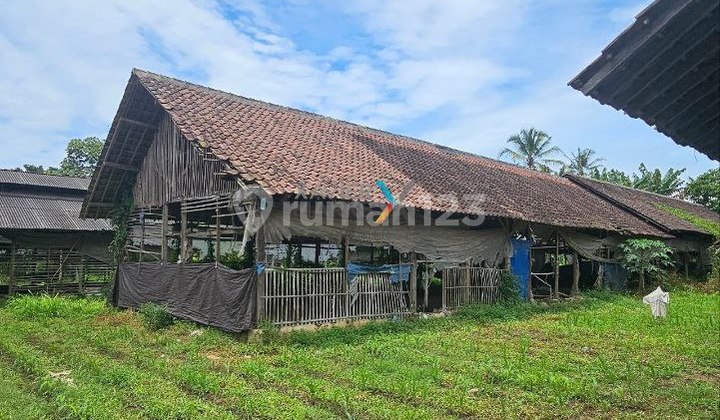 Former Chicken Farm Land In Wajak, Malang Former Chicken Farm Land In Wajak, Malang