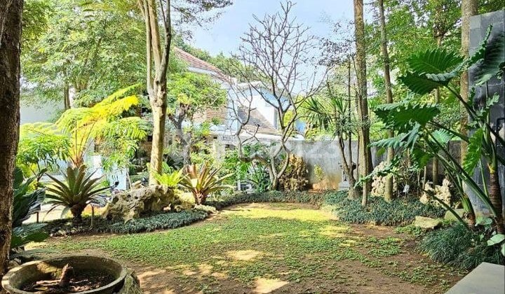 Luxury Fully Furnished House in Downtown Veteran Klojen Malang 2