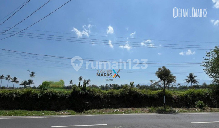 Cheap Sale of Strategic Land on the Asphalt Road Axis, Banjarejo Pakis