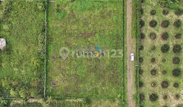 Tanah Hook Di Villa Navy Residence Ketindan Lawang 