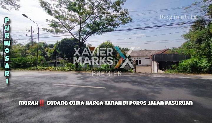 Tanah Murah Di Poros di Raya purwosari, Purwosari 1