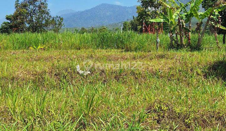 Tanah View Cantik Shm Di Panderman, Batu Malang 2