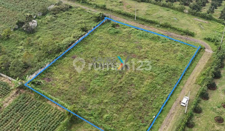 Tanah Hook Di Villa Navy Residence Ketindan Lawang 