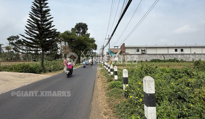 Strategic Land Near Pakis Malang Toll Exit