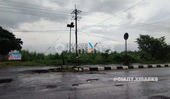 Tanah Strategis Di Poros Jalan Trowulan Mojokerto Jatim