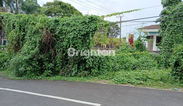 TANAH TABANAN KOTA 2 ARE SAMPING TOYOTA PINGGIR JALAN UTAMA 1