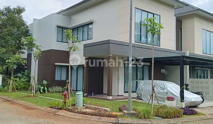 Disewakan Rumah Siap Huni Dalam Cluster Area Bintaro Disewakan Rumah Siap Huni Dalam Cluster Area Bintaro