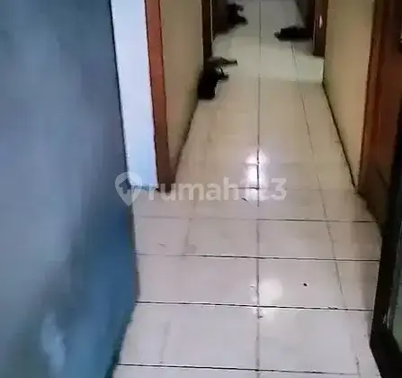 Terima Kost Pria & Wanita 2