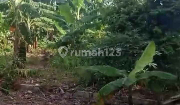 Dijual Tanah 3200sqm 800m ke Tol Antasari - Depok