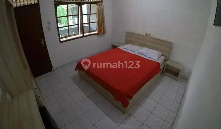 Kost Elit Popies Poppies 2 2