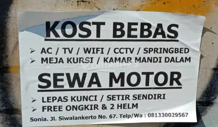 Penginapan bebas(kost harian)murah.bersih.nyaman 1