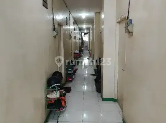 kost bebas campur tanpa ribet dengan peraturan boleh bawa kucing 1