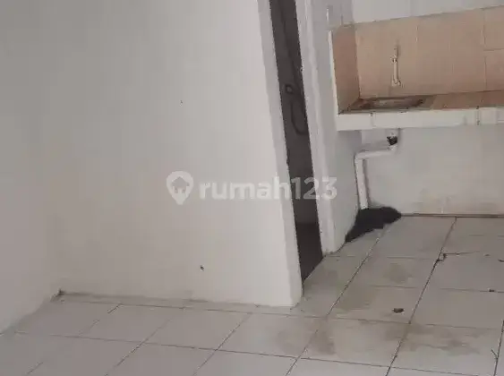 Kontrakan 8 pintu strategis di BSD serpong 1