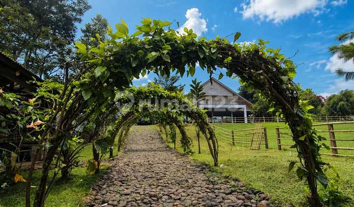 Jual Cepat Villa Nyaman & Luas di Soreang Hitung Tanah Harga Dibawah Pasaran Jual Cepat Villa Nyaman & Luas di Soreang Hitung Tanah Harga Dibawah Pasaran