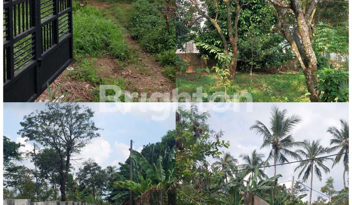 KEBUN 6815M² PANDEGLANG BANTEN KEBUN 6815M² PANDEGLANG BANTEN