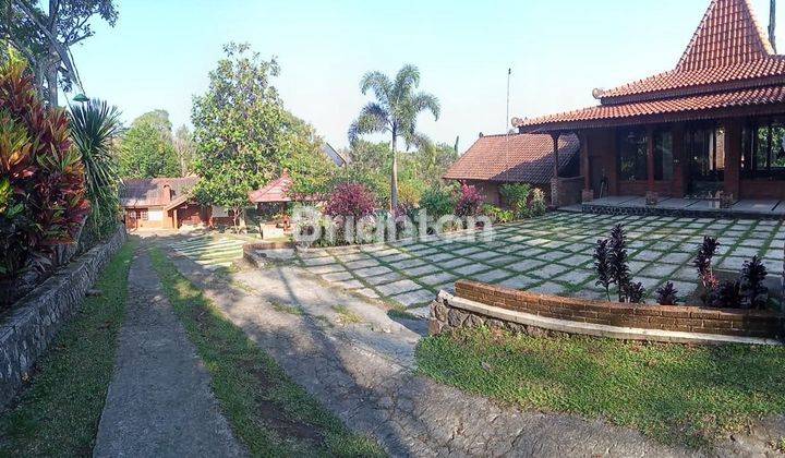 Villa Eksotis Aktif  di Area Wisata Trawas Mojokerto 2