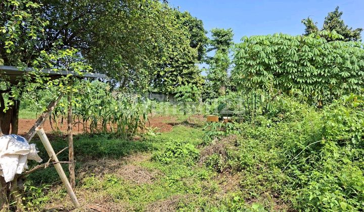 ******** Sangat Murah 1 Hektar Siapa Cepat Dapat