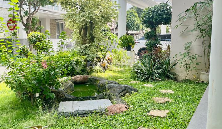 Rumah Mewah Citraland Utama Furnished Dengan Pool Harga Termurah Rumah Mewah Citraland Utama Furnished Dengan Pool Harga Termurah