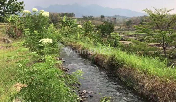 Tanah Di Pacet View Gunung Cocok Untuk Investasi 2