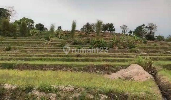 Tanah Di Pacet View Gunung 2