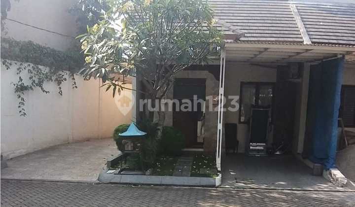 Rumah Murah Bali Resort Serpong 575Jt All-In Terima Beres, SHM! 2