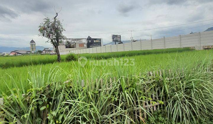 Dijual Tanah Sawah Lokasi Soreang Dekat Gedung Sabilulungan Soreang 2