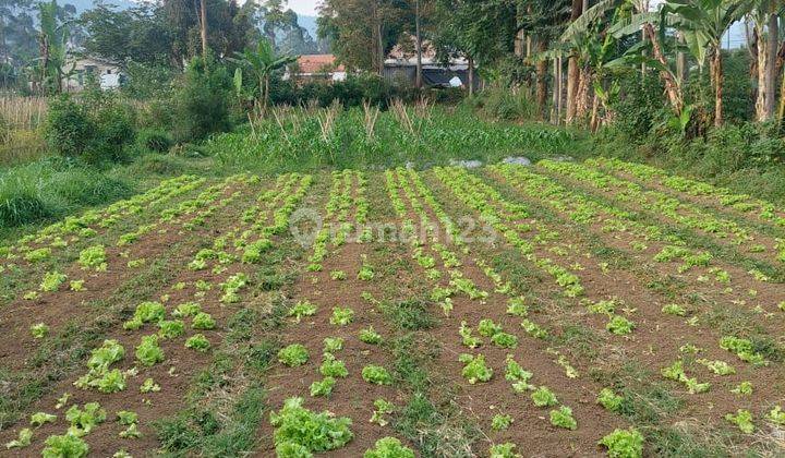 Di Jual Cepat Tanah Di Lembang Dekat Floating Market 1