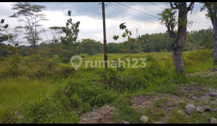 Tanah Spesial Pinggir Jalan Lintas Kota di Sragen