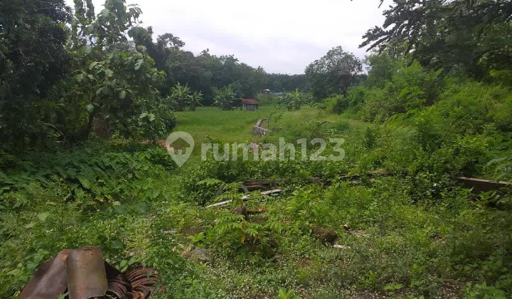 Tanah Efisien View Pedesaan Alami Di Giriroto Boyolali