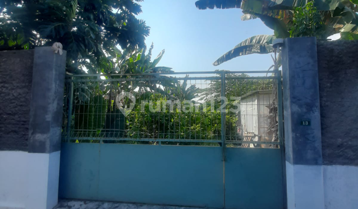 Tanah Murah Bonus Tanaman di Pajang Surakarta