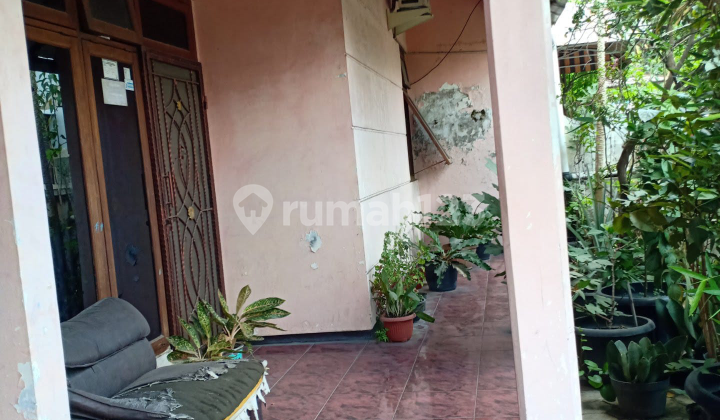 Rumah Classic Vintage Bonus Tanaman Di Gentan Sukoharjo 2