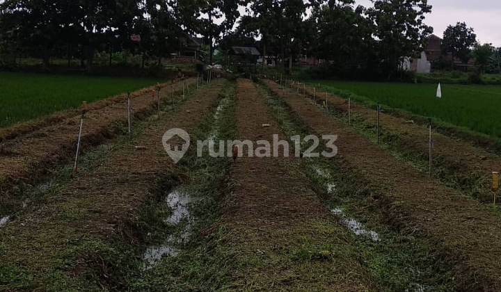 Tanah Megah Kering Bonus 2 Jalan Di Mojolaban Sukoharjo