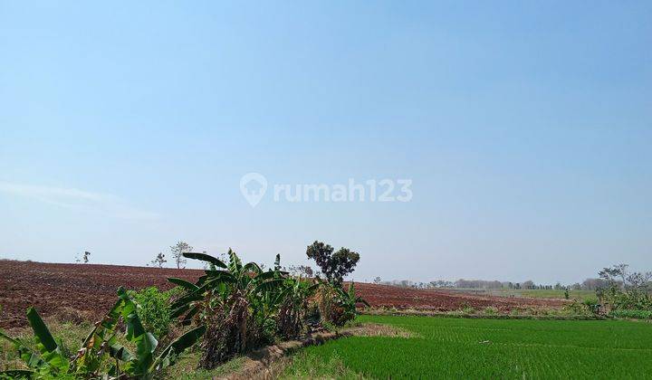 Tanah Murah Bonus Perkebunan Tanah Shm Hectare 41,7 1