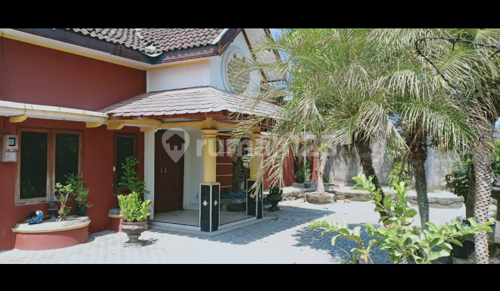 Tempting Vintage House with Bonus Plants in Sukoharjo