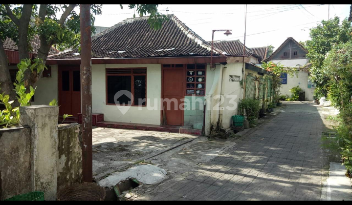 Rumah Lawasan Menawan Bonus Tanaman Di Laweyan Surakarta