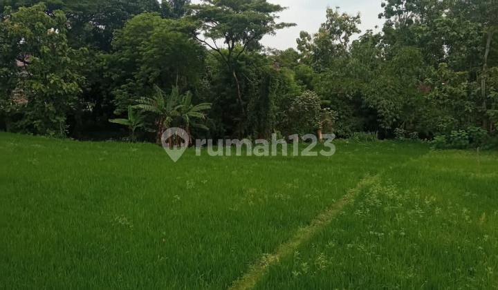 Sawah Menawan Adem Dekat Pusat Perkantoran Karanganyar