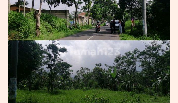 Tanah Kavling Terbagi 4 Mempesona Bonus Udara Sejuk di Salatiga Tanah Kavling Terbagi 4 Mempesona Bonus Udara Sejuk di Salatiga
